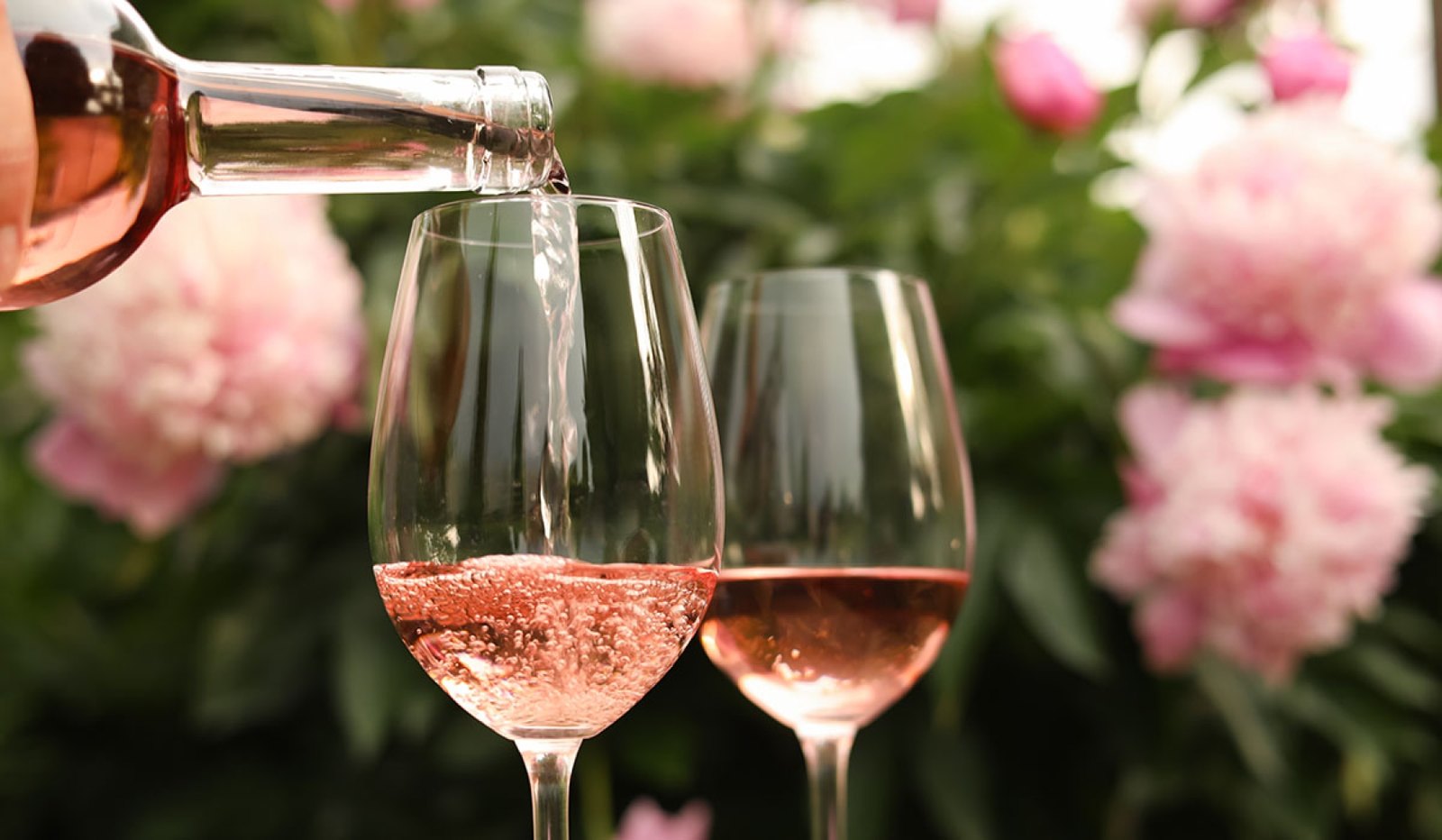 ROSE & BLUSH ŞARAPLAR ŞİŞE